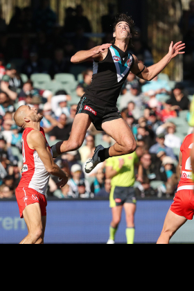 Brynn Teakle is the new #1 ruck at Port Adelaide after Scott Lycett was given a ticket to the SANFL at selection during the week. The late era of Ken Hinkley's coaching career at the club has been characterised by a merry-go-round of ruck appointments, as it seems he is not happy with any of the options available to him. The Power actually got some of its best results last season with non-ruck Jeremy Finlayson in the position, so it will be interesting to see how much Dorsal is called upon to support Teakle. Port's midfielders must get dizzy at times.