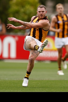 Blake Hardwick is set for a more permanent move to attack this year with the Hawks recruiting extra defenders in the off season. He booted a big bag of five in one game last year but was otherwise not consistently used forward, and not a reliable conveyance when he did. He enters 2025 much like the rest of his team: with a lot of unrealised potential, a high ceiling but still searching for the low floor of output that their fans and fantasy owners crave. With Luke Breust fading away and Jack Gunston on his last legs, it's time for Dimma to shine brighter.